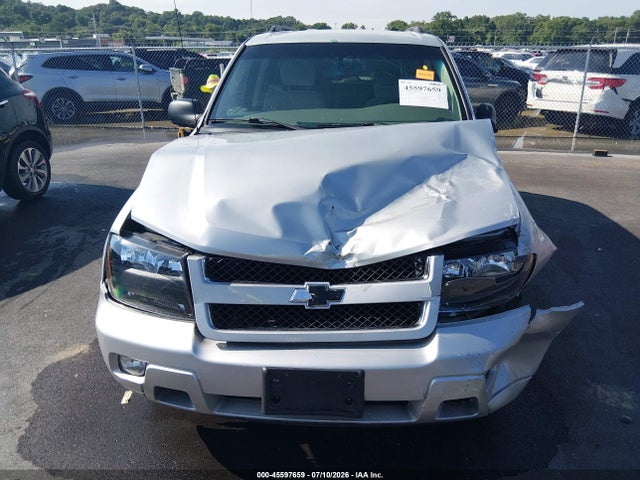 Продажа на аукционе авто 2009 Chevrolet Trailblazer Lt, vin: 1GNDT33S292124013, номер лота: 45597659