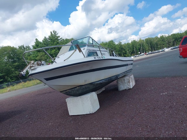 Продажа на аукционе авто 1992 Stratos Boat, vin: BNZ2F112J192, номер лота: 45600012