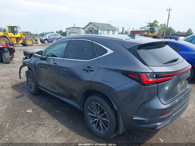 Продажа на аукционе авто 2025 Lexus Nx 350 Premium, vin: 2T2GGCEZ1SC081047, номер лота: 45600075