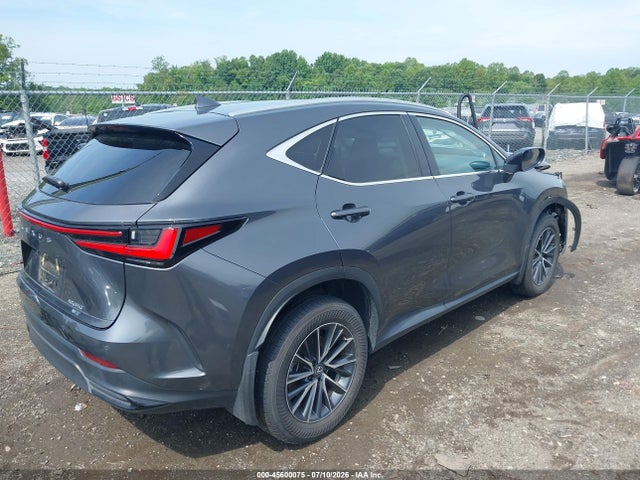 Продажа на аукционе авто 2025 Lexus Nx 350 Premium, vin: 2T2GGCEZ1SC081047, номер лота: 45600075