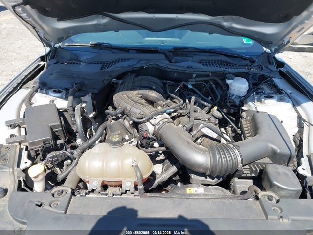 1FA6P8AMXG5259880 Ford Mustang V6