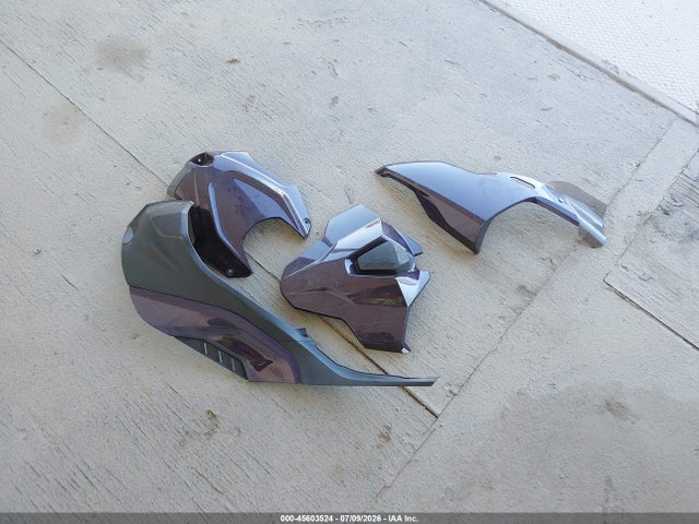 WB10P2302S6L40251 BMW S 1000 Rr
