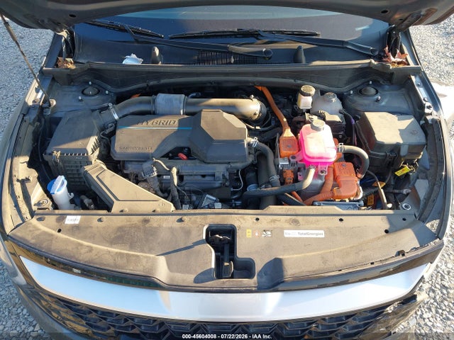 KNDPVCAG6P7059617 KIA Sportage Hybrid Ex