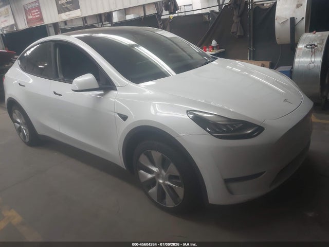 Tesla Model Y Standard Range Rear-wheel Drive 2021 5YJYGDED0MF105632 главное изображение