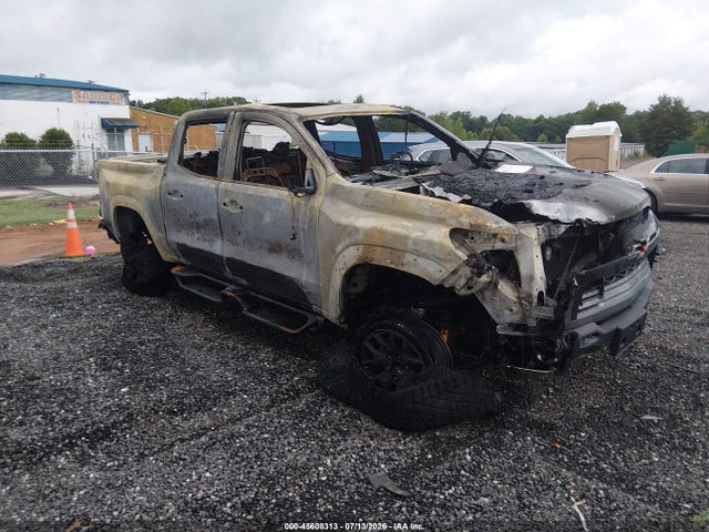 45608313 :رقم المزاد ، 1GCPTFEK9R1288529 vin ، 2024 Chevrolet Colorado 4wd Zr2 مزاد بيع