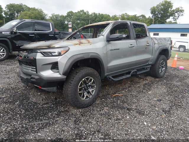 45608313 :رقم المزاد ، 1GCPTFEK9R1288529 vin ، 2024 Chevrolet Colorado 4wd Zr2 مزاد بيع