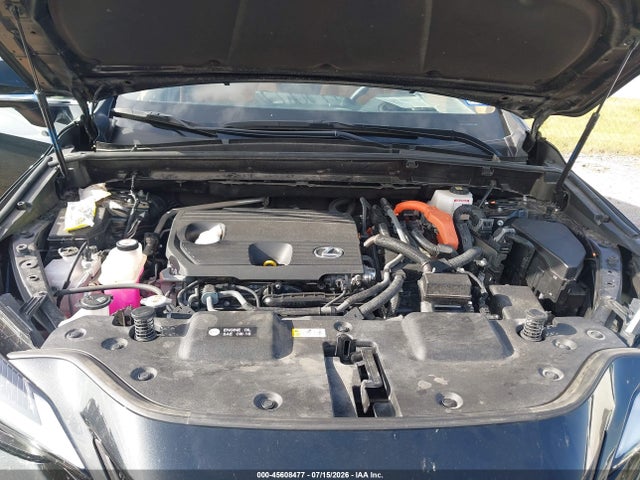 45608477 :رقم المزاد ، JTJGKCEZ5R5021683 vin ، 2024 Lexus Nx 350h Premium مزاد بيع