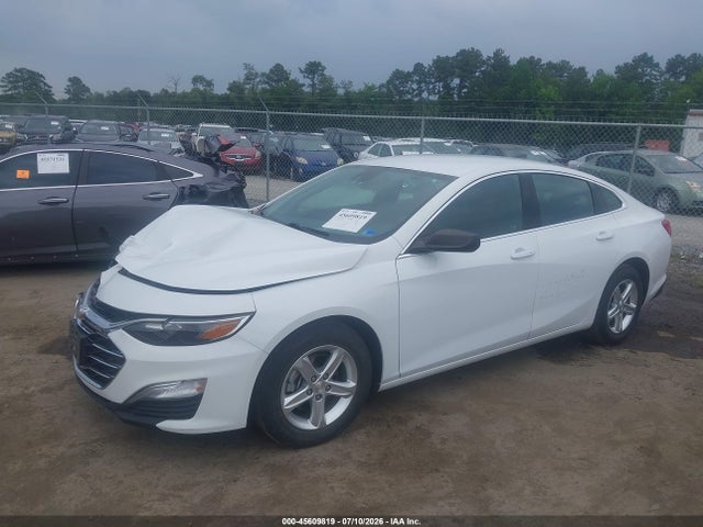1G1ZC5ST8PF175843 Chevrolet Malibu Fwd 1fl
