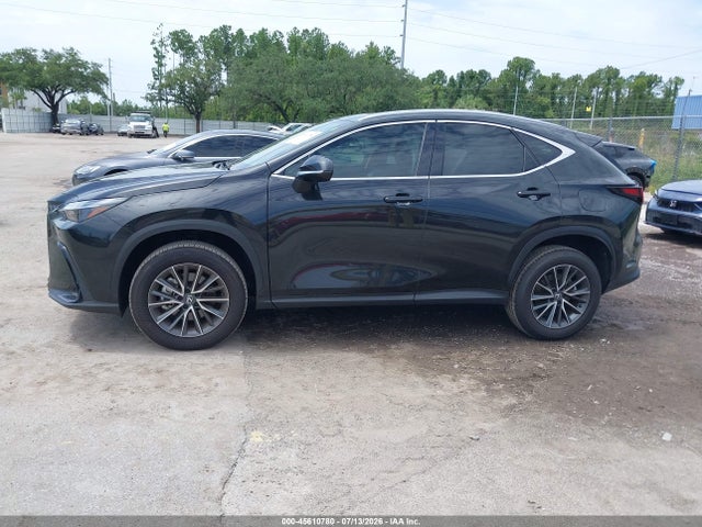 45610780 :رقم المزاد ، 2T2GDCAZ5SC032402 vin ، 2025 Lexus Nx 250 Premium مزاد بيع