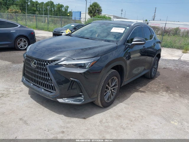 45610780 :رقم المزاد ، 2T2GDCAZ5SC032402 vin ، 2025 Lexus Nx 250 Premium مزاد بيع