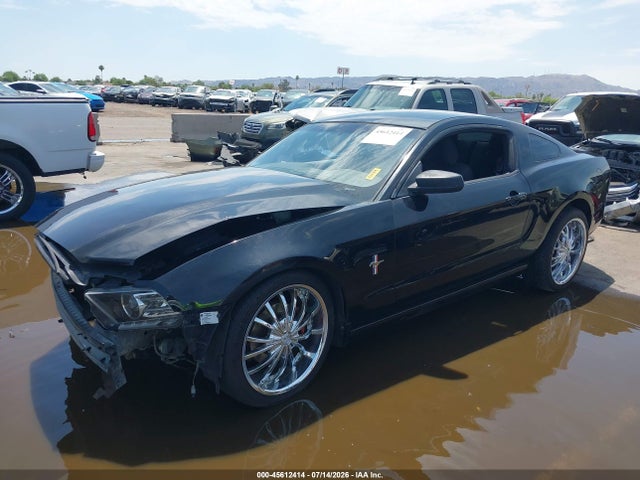 1ZVBP8AM9E5257217 Ford Mustang V6