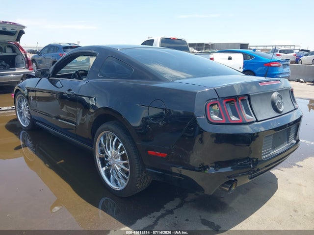 1ZVBP8AM9E5257217 Ford Mustang V6