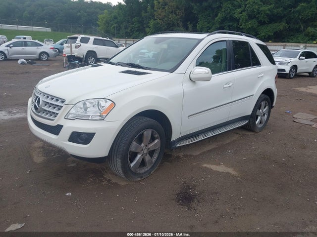 Auction sale of the 2010 Mercedes-benz Ml 350 4matic, vin: 4JGBB8GB0AA536477, lot number: 45612636