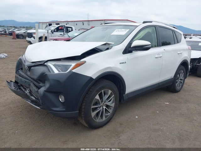 JTMRJREV4GD015441 Toyota Rav4 Hybrid Xle