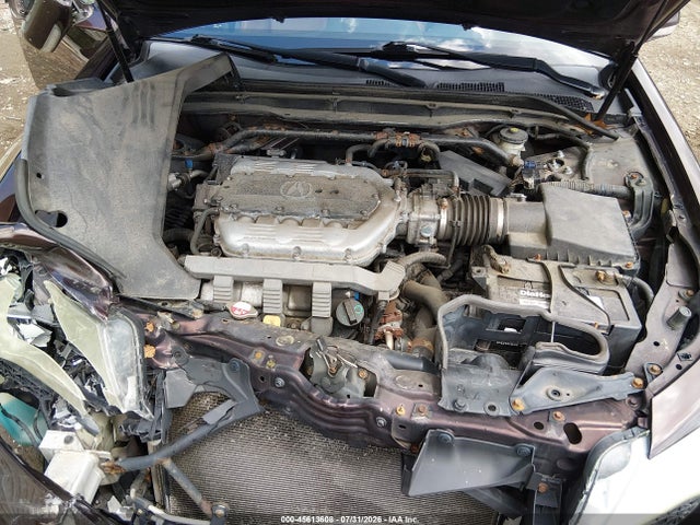 Aukcja sprzedaży 2009 Acura Tl 3.7, vin: 19UUA96269A000623, numer aukcji: 45613608