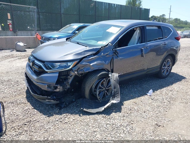 Auction sale of the 2022 Honda Cr-v Awd Ex, vin: 5J6RW2H59NA007381, lot number: 45614524
