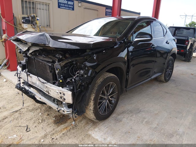 Продажа на аукционе авто 2025 Lexus Nx 250, vin: 2T2ADCAZ9SC024437, номер лота: 45614898