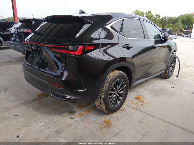 Продажа на аукционе авто 2025 Lexus Nx 250, vin: 2T2ADCAZ9SC024437, номер лота: 45614898