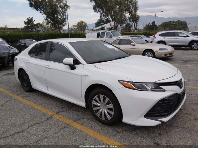 Toyota Camry Hybrid Le 2019 4T1B31HK5KU517619 главное изображение
