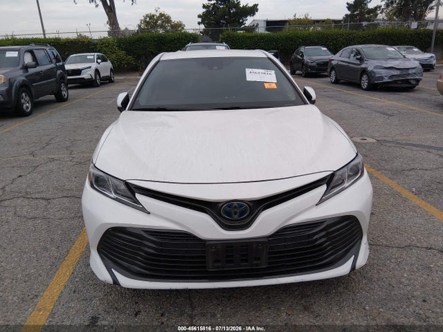 4T1B31HK5KU517619 Toyota Camry Hybrid Le