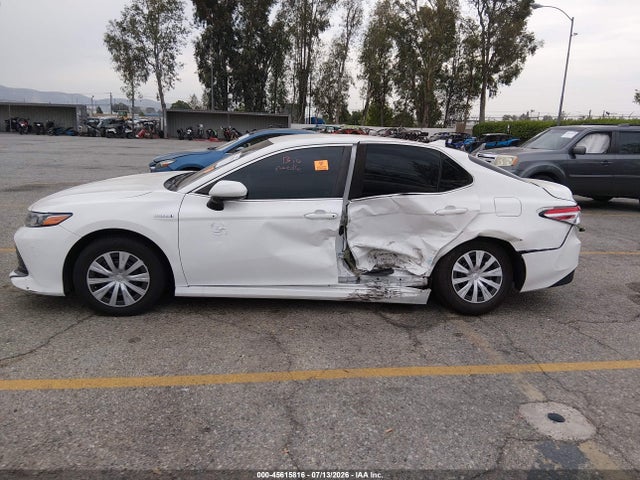 4T1B31HK5KU517619 Toyota Camry Hybrid Le