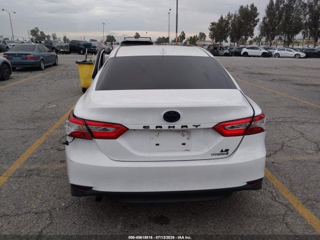 4T1B31HK5KU517619 Toyota Camry Hybrid Le