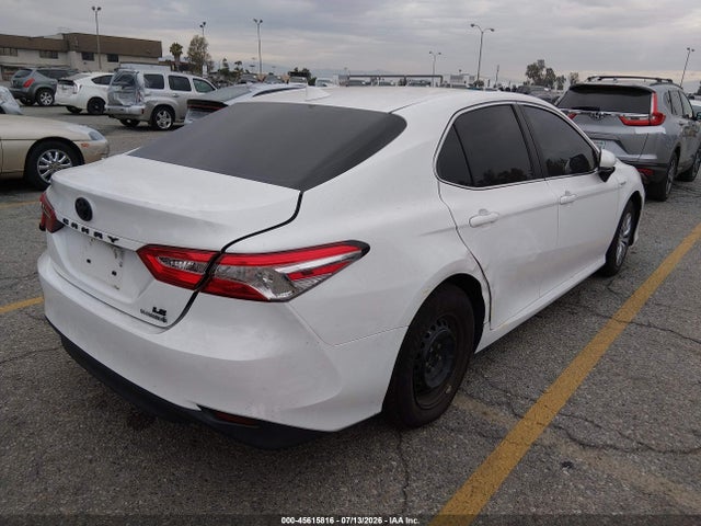 4T1B31HK5KU517619 Toyota Camry Hybrid Le