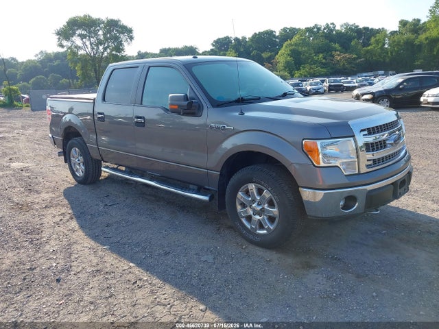 45620739 :رقم المزاد ، 1FTFW1EF9DFB63177 vin ، 2013 Ford F-150 Xlt مزاد بيع