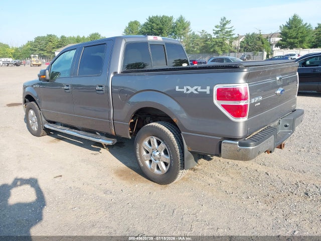 45620739 :رقم المزاد ، 1FTFW1EF9DFB63177 vin ، 2013 Ford F-150 Xlt مزاد بيع