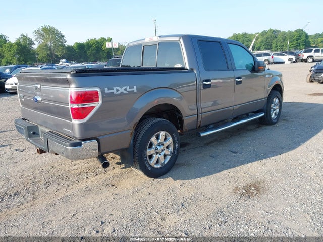 45620739 :رقم المزاد ، 1FTFW1EF9DFB63177 vin ، 2013 Ford F-150 Xlt مزاد بيع