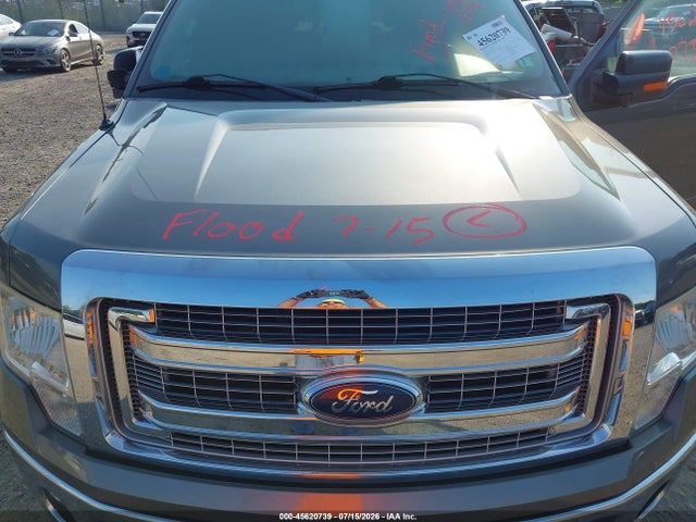 45620739 :رقم المزاد ، 1FTFW1EF9DFB63177 vin ، 2013 Ford F-150 Xlt مزاد بيع