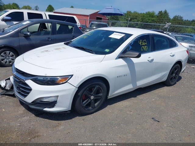 Продажа на аукционе авто 2019 Chevrolet Malibu 1ls, vin: 1G1ZB5ST3KF128019, номер лота: 45620981