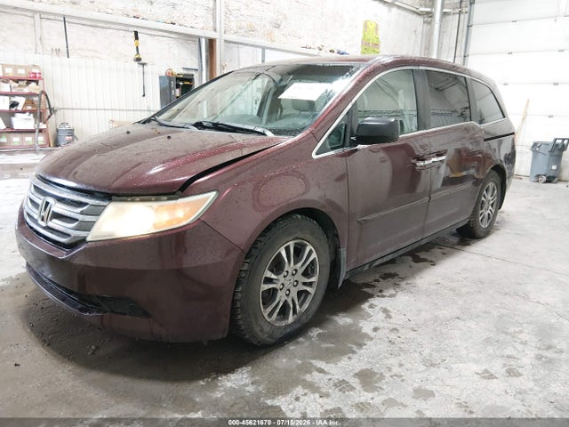 45621670 :رقم المزاد ، 5FNRL5H42CB062542 vin ، 2012 Honda Odyssey Ex مزاد بيع