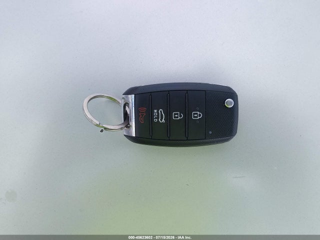 Aukcja sprzedaży 2020 Kia Rio 5-door S, vin: 3KPA25AD7LE348838, numer aukcji: 45623602