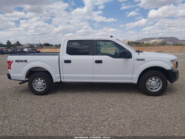 1FTEW1EP1LKE81854 Ford F-150 Xl
