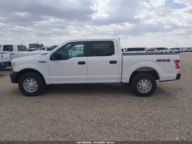 1FTEW1EP1LKE81854 Ford F-150 Xl