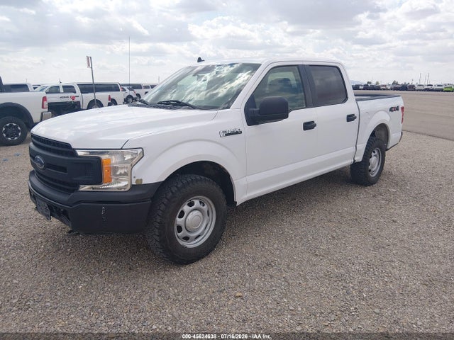 1FTEW1EP1LKE81854 Ford F-150 Xl