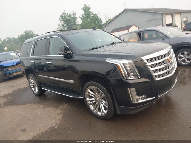 45625753 :رقم المزاد ، 1GYS4BKJ4LR187459 vin ، 2020 Cadillac Escalade 4wd Luxury مزاد بيع