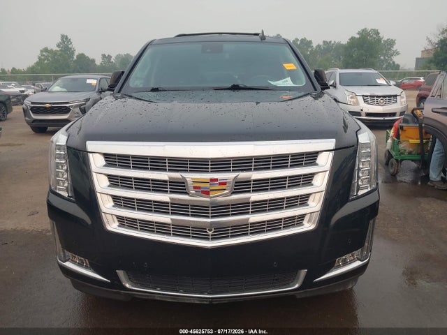 45625753 :رقم المزاد ، 1GYS4BKJ4LR187459 vin ، 2020 Cadillac Escalade 4wd Luxury مزاد بيع