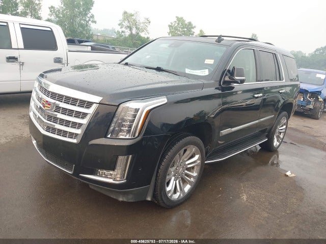 45625753 :رقم المزاد ، 1GYS4BKJ4LR187459 vin ، 2020 Cadillac Escalade 4wd Luxury مزاد بيع