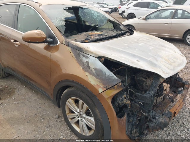 Продаж на аукціоні авто 2017 Kia Sportage Lx, vin: KNDPM3AC6H7043080, номер лоту: 45625934