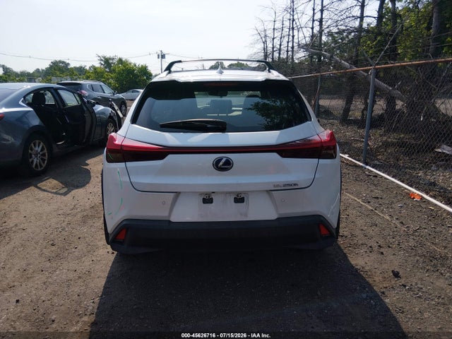 Aukcja sprzedaży 2019 Lexus Ux 250h, vin: JTHU9JBH6K2016127, numer aukcji: 45626716