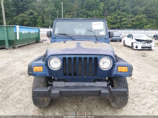 2003 Jeep Wrangler Sport მანქანა იყიდება აუქციონზე, vin: 1J4FA49S13P341898, აუქციონის ნომერი: 45628955