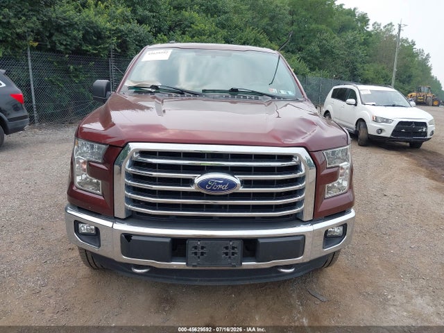 Ford F-150 Xlt 2015 1FTEW1EF3FFB54568 Image 12