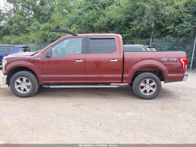Ford F-150 Xlt 2015 1FTEW1EF3FFB54568 Image 14