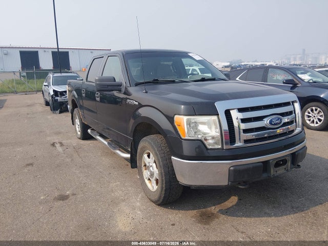 45633049 :رقم المزاد ، 1FTFW1EV5AFC36564 vin ، 2010 Ford F-150 Fx4/harley-davidson/king Ranch/lariat/platinum/xl/xlt مزاد بيع