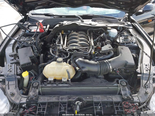 1FA6P8CF6K5109000 Ford Mustang Gt Premium