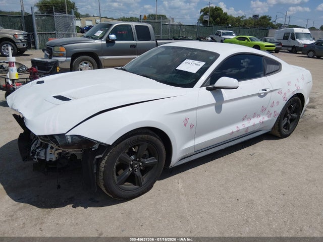 Ford Mustang Ecoboost 2019 1FA6P8TH7K5133100 Image 2