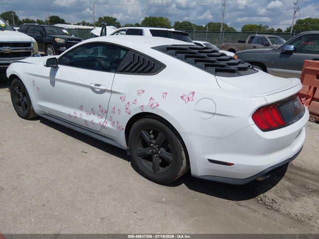 Ford Mustang Ecoboost 2019 1FA6P8TH7K5133100 Image 3