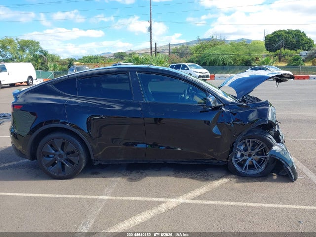 2024 Tesla Model Y Long Range Single Motor Rear-wheel Drive/rwd მანქანა იყიდება აუქციონზე, vin: 7SAYGDED4RA303184, აუქციონის ნომერი: 45640150